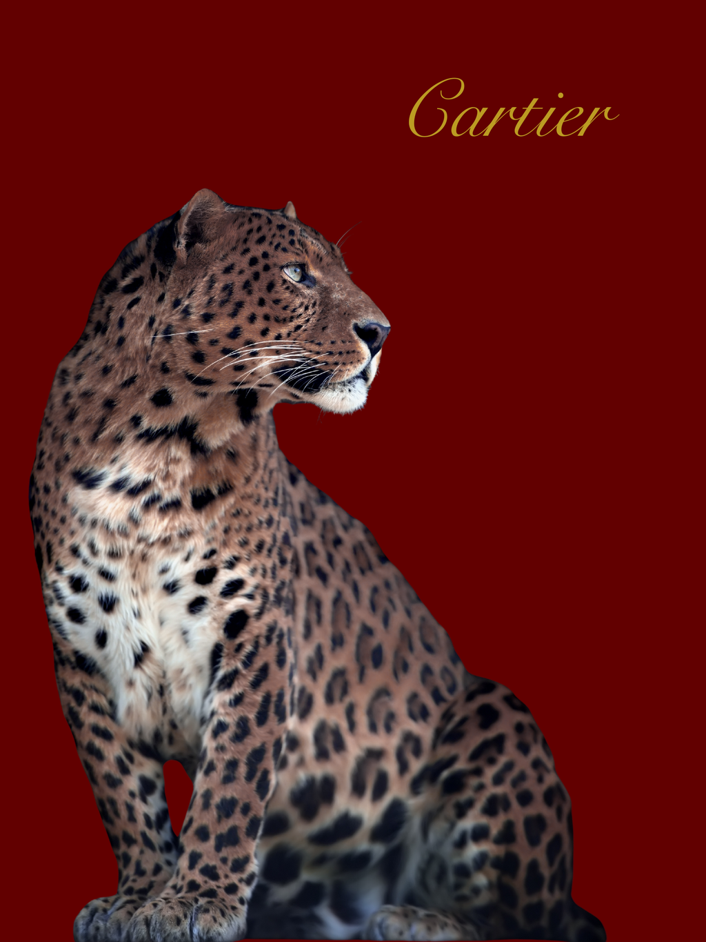 Luxury Poster