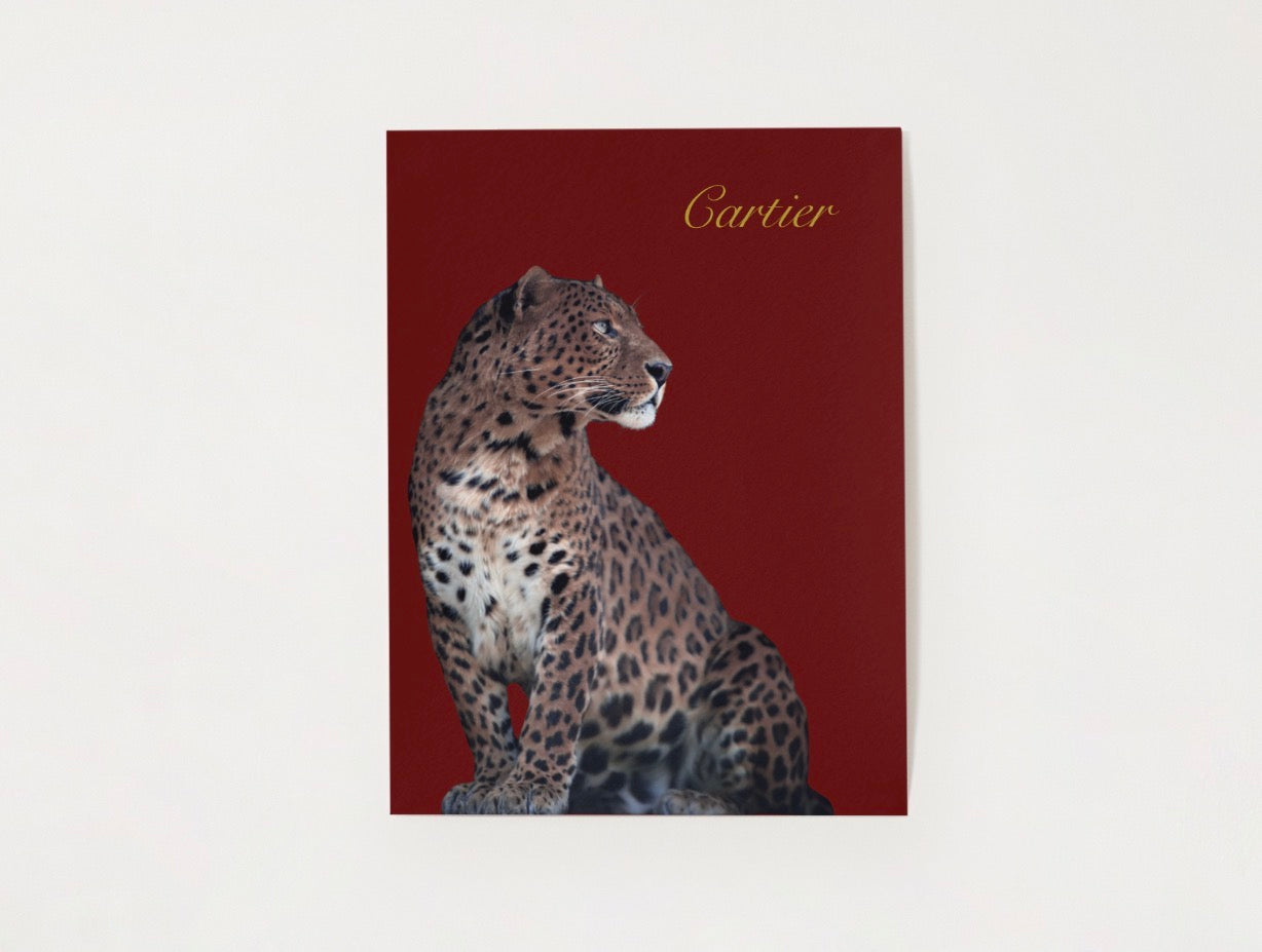 Luxury Poster